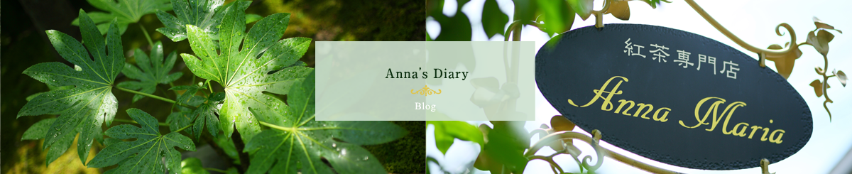 Anna’s Diary