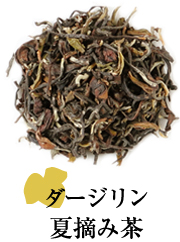 ダージリン夏摘み茶