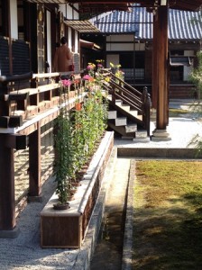 大覚寺６IMG_0766s