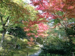 天龍寺4IMG_0342s